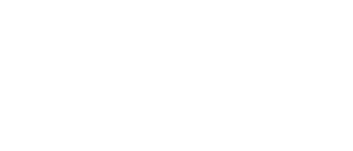Silicon logo
