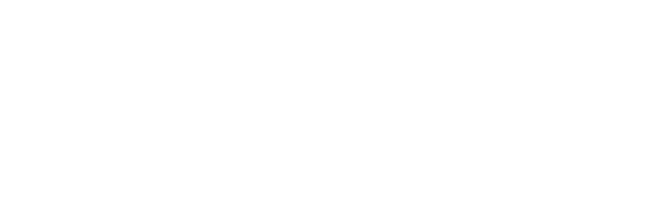 duda partner logo