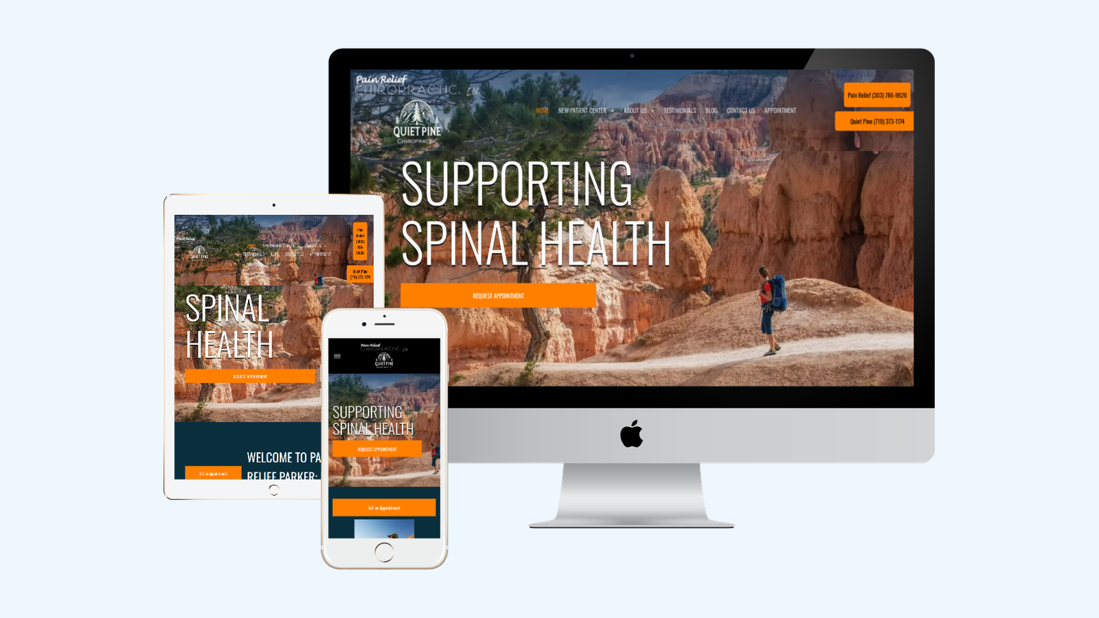 Chiropractors website design example